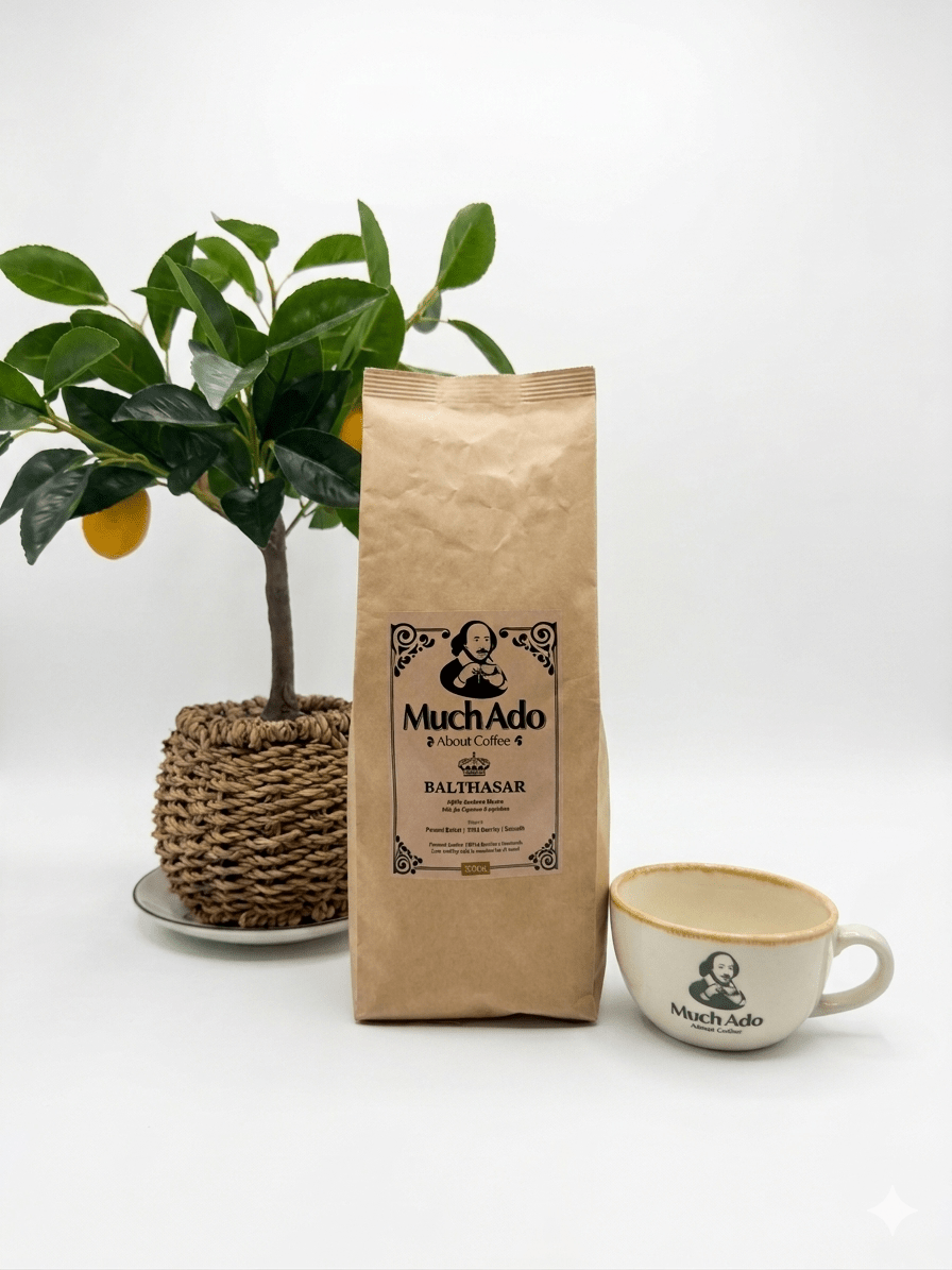 New Blend! MuchAdo Balthazar (500g) 100% Arabica - Choose Coffee