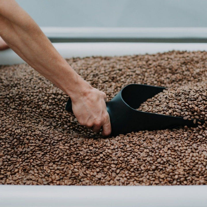 RHINO ROASTERS BEAN SCOOP 1KG - Choose Coffee