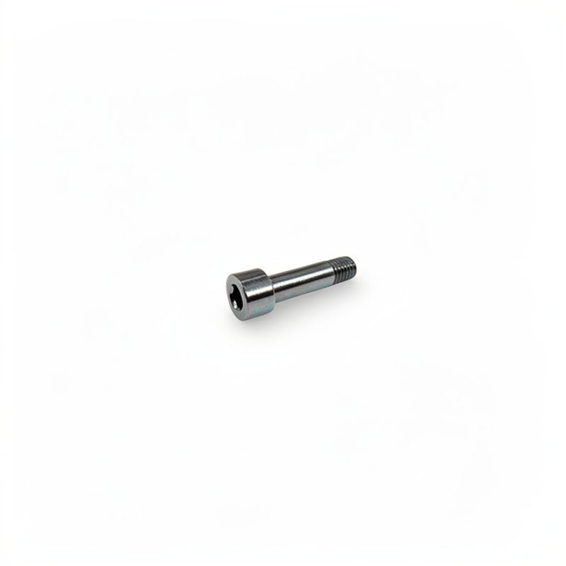 S/S ALLEN SCREW M5 X 20MM - Choose Coffee